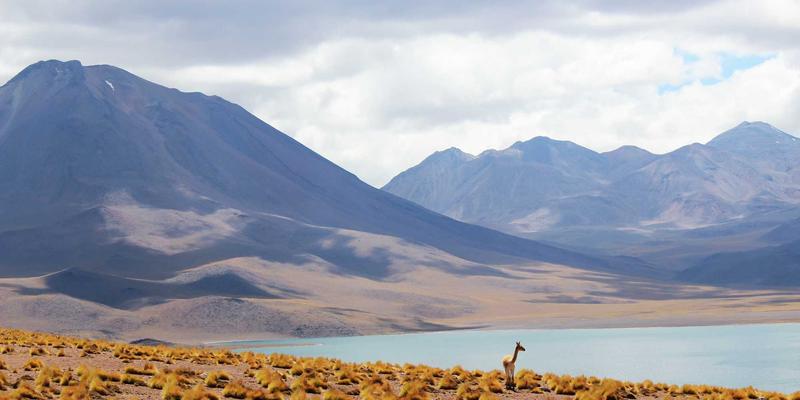 太平洋摄影终极冒险：汤加座头鲸、瓦努阿图火山与密克罗沉船全攻略