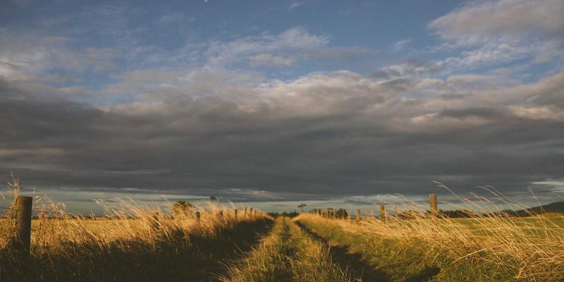 太平洋旅游87：解锁家庭、自由行与蜜月旅行的终极海岛梦想